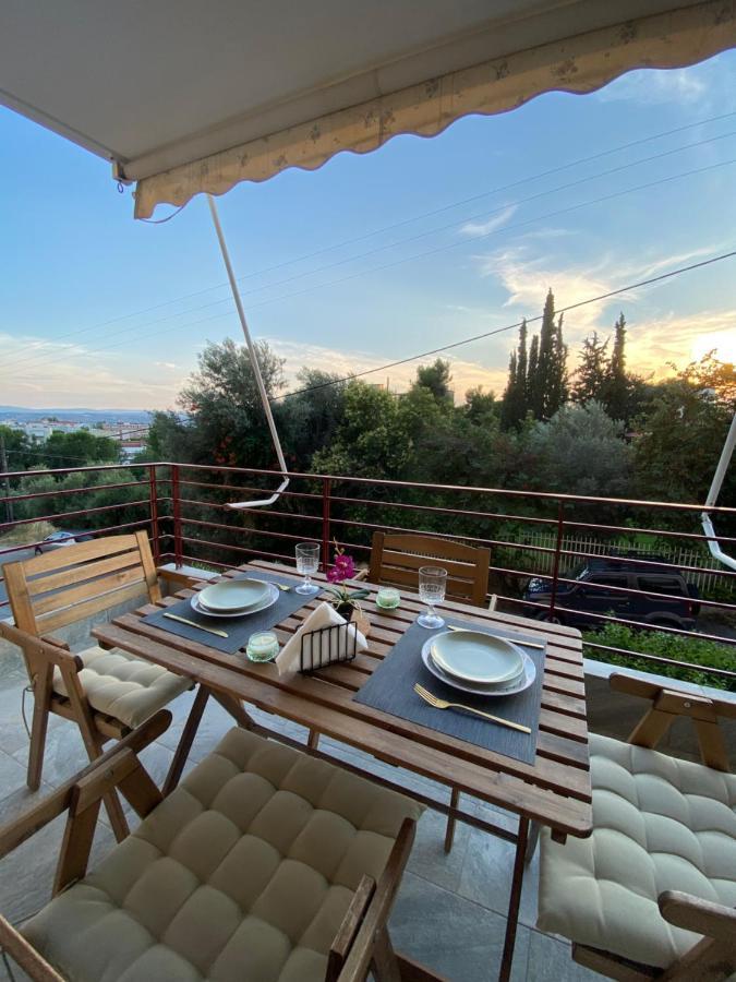 Cozy Flat Elix Apartman Lefkandí Kültér fotó